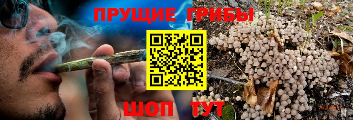 Галлюциногенные грибы мицелий Арсеньев
